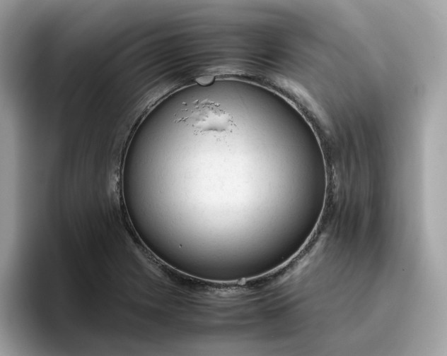 X0000095951225200801251123