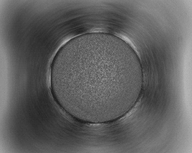 X0000095951227200801251123