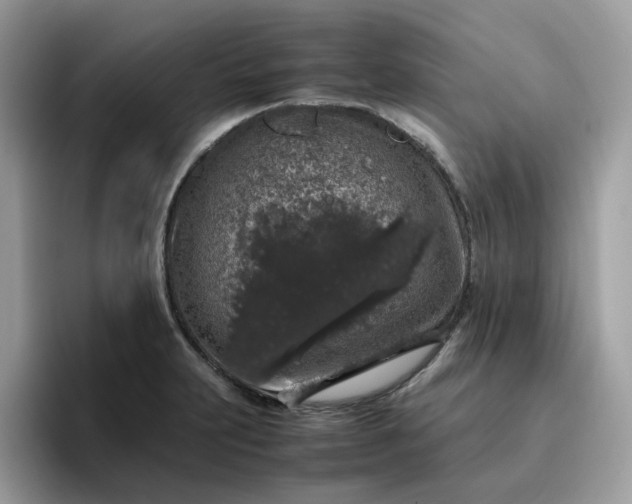 X0000095951231200801251123