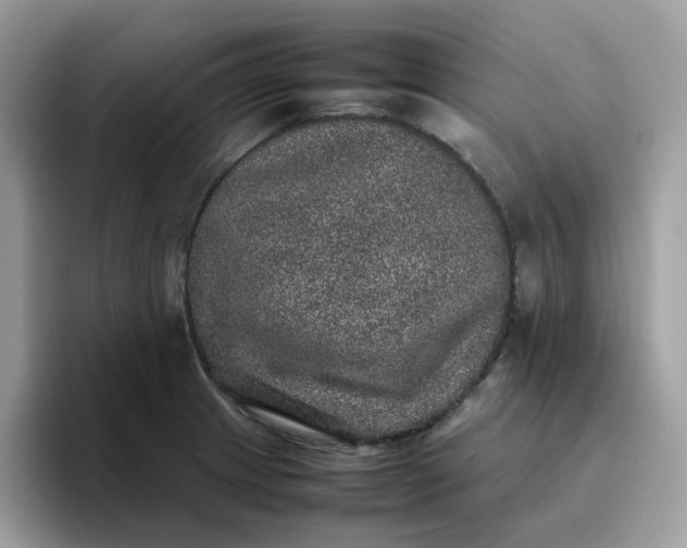 X0000095951233200801251123