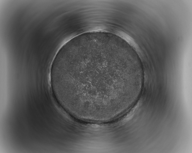 X0000095951234200801251123