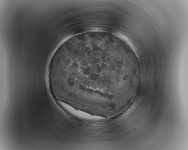 X0000095951235200801251123