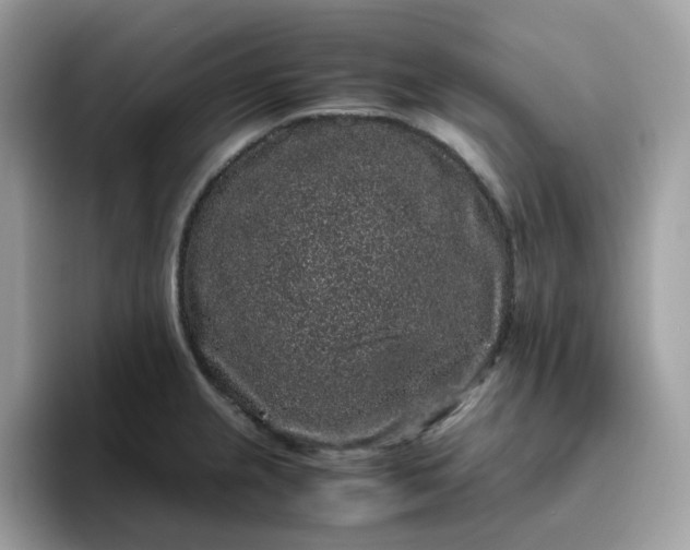 X0000095951237200801251123