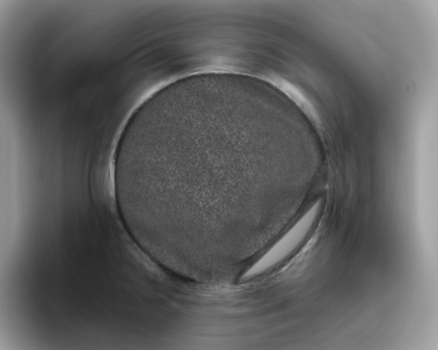 X0000095951238200801251123