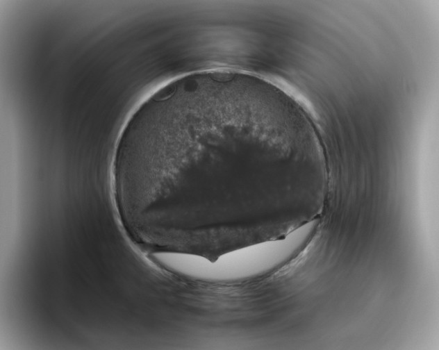 X0000095951239200801251123