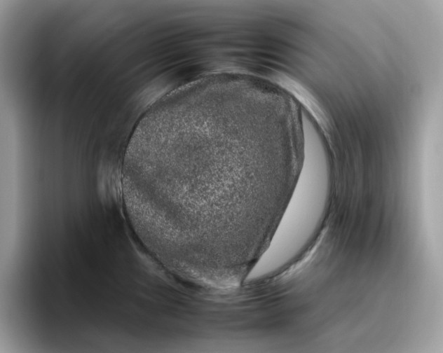 X0000095951241200801251123