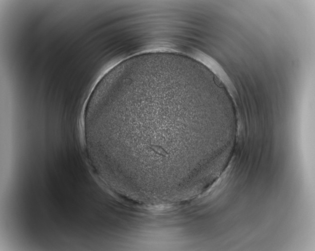 X0000095951242200801251123