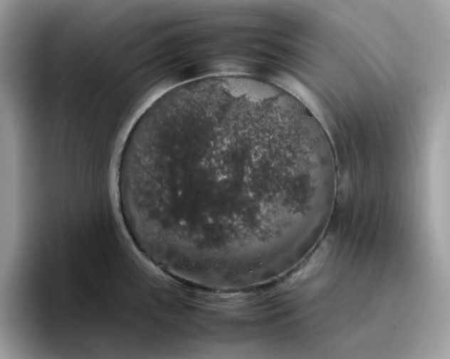 X0000095951243200801251123