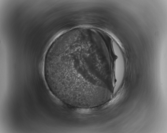 X0000095951245200801251123