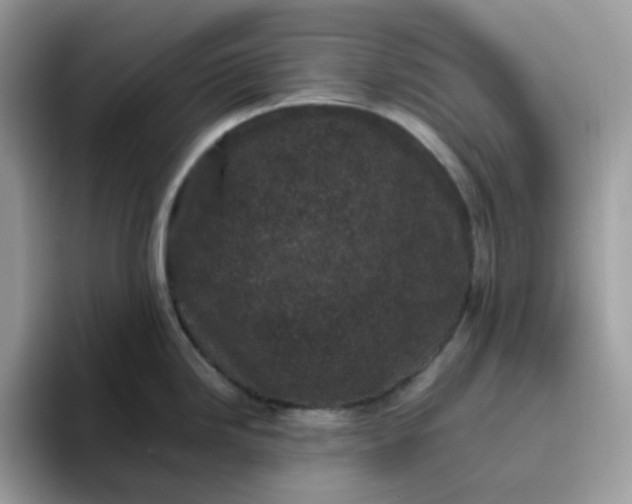 X0000095951246200801251124