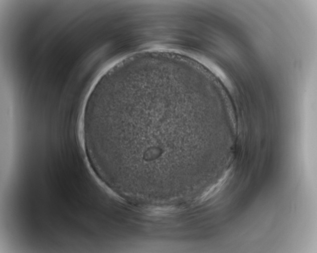 X0000095951247200801251124