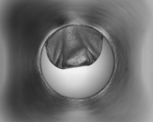 X0000095951248200801251124