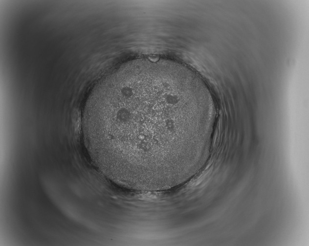 X0000095951251200801251123