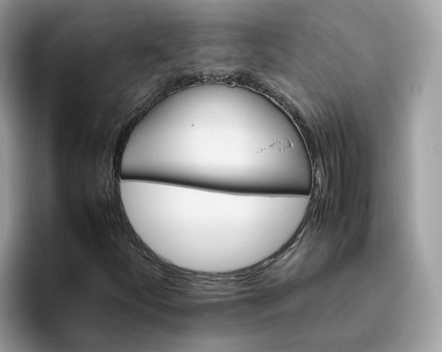 X0000095951252200801251123