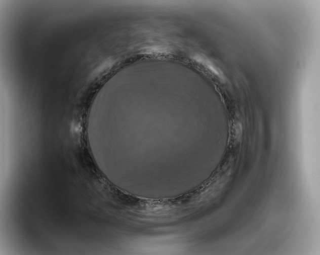 X0000095951254200801251123