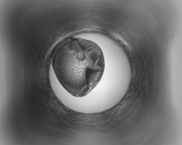 X0000095951256200801251123