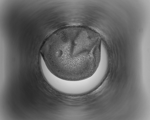 X0000095951257200801251123