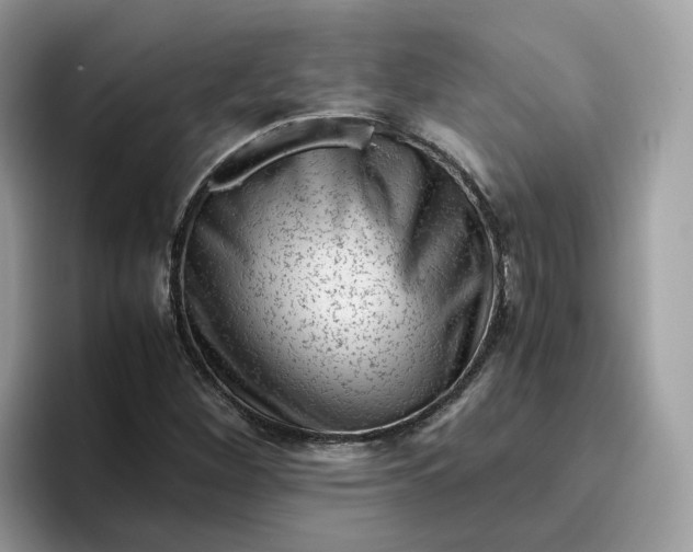 X0000095951260200801251123