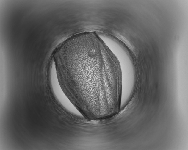 X0000095951261200801251123