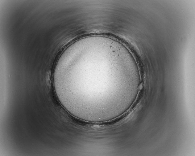 X0000095951265200801251123