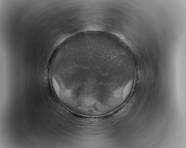 X0000095951266200801251123