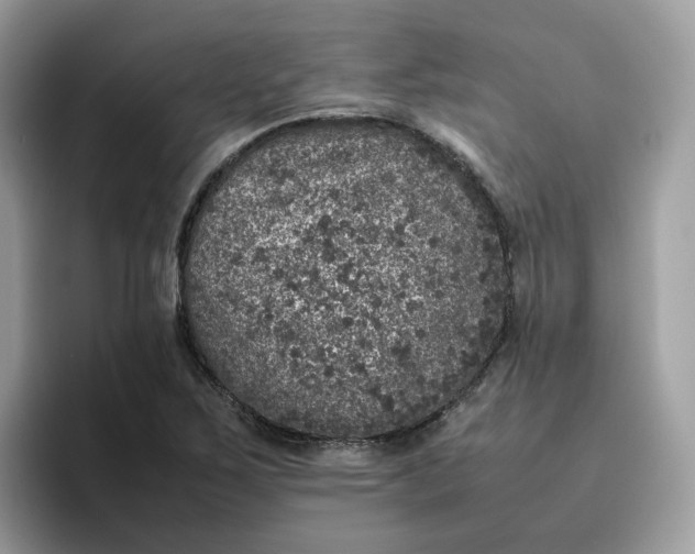 X0000095951267200801251123