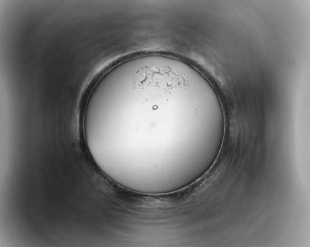 X0000095951270200801251123