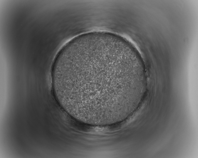 X0000095951271200801251123