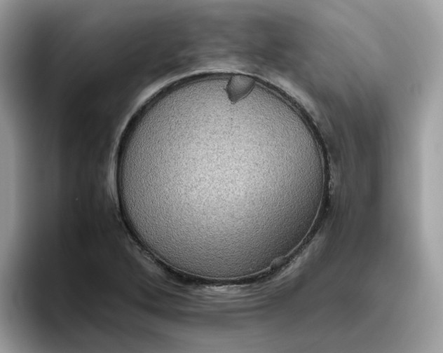 X0000095951272200801251123