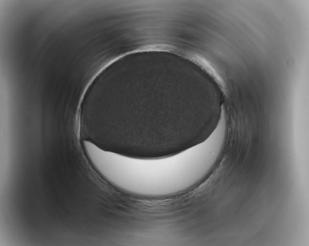 X0000095951276200801251123