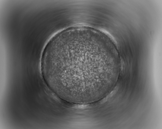 X0000095951278200801251123