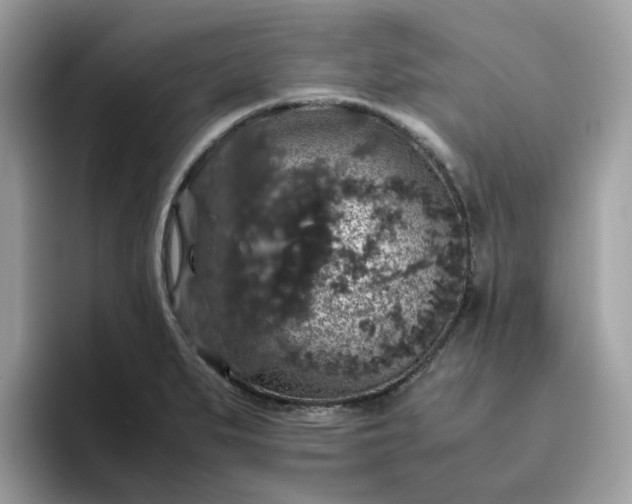 X0000095951279200801251123