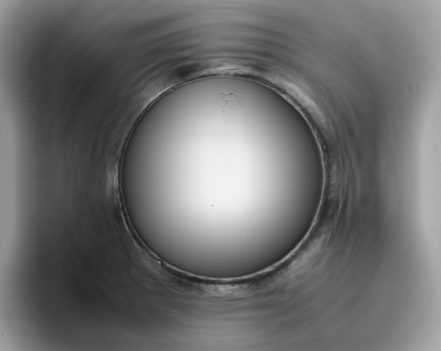 X0000095951281200801251122