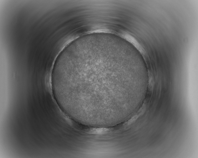 X0000095951282200801251122