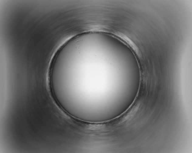 X0000095951285200801251122