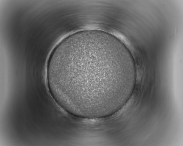 X0000095951286200801251122