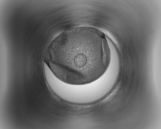 X0000095951289200801251122