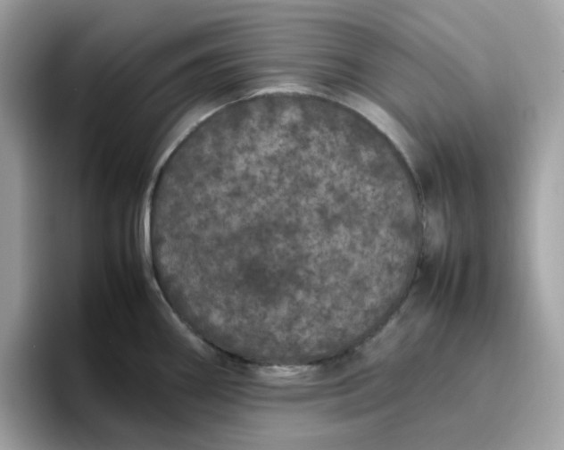 X0000095951290200801251122