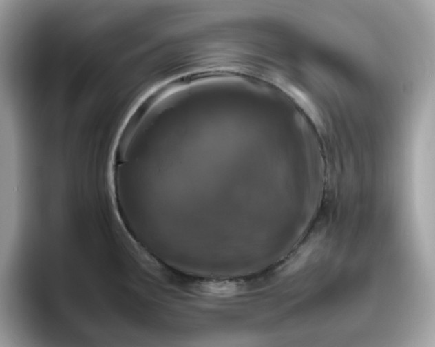 X0000095951291200801251122