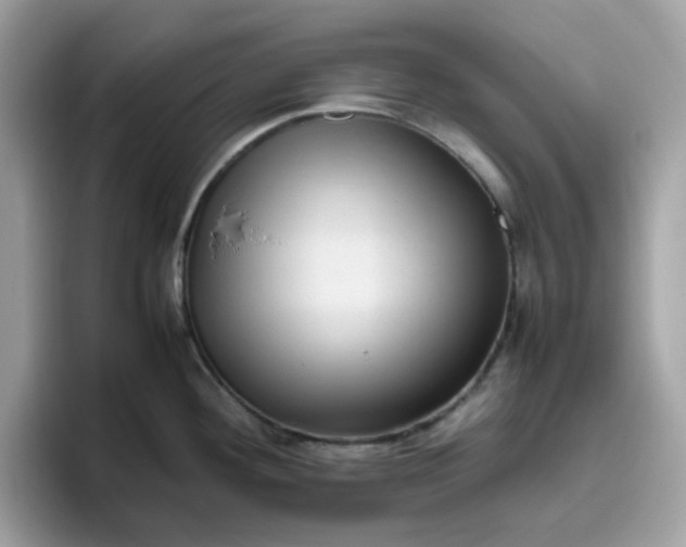 X0000095951292200801251122