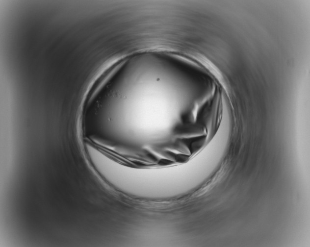 X0000095951293200801251122