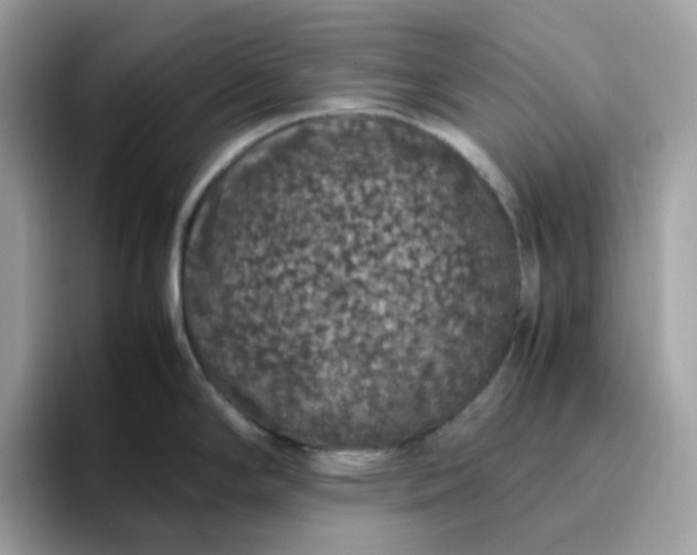 X0000095951294200801251122