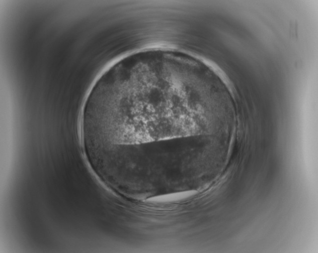 X0000095951295200801251122