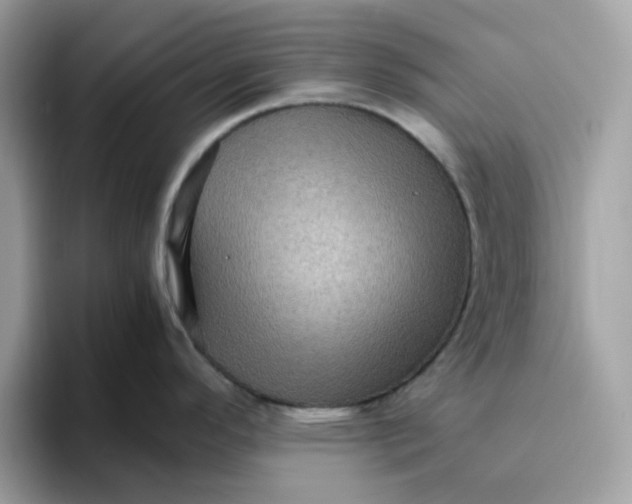 X0000095951296200801251122