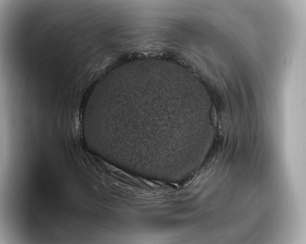 X0000095951298200801251122