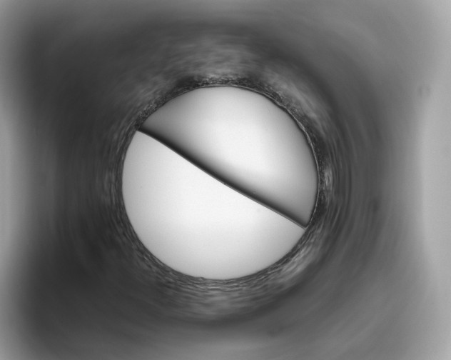 X0000095951300200801251122