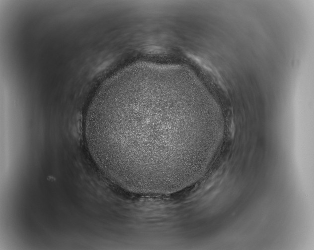 X0000095951301200801251122