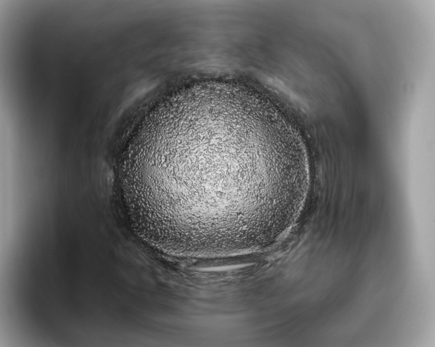 X0000095951302200801251122