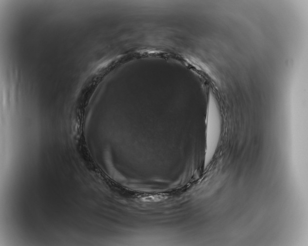 X0000095951303200801251122