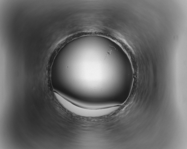 X0000095951304200801251122